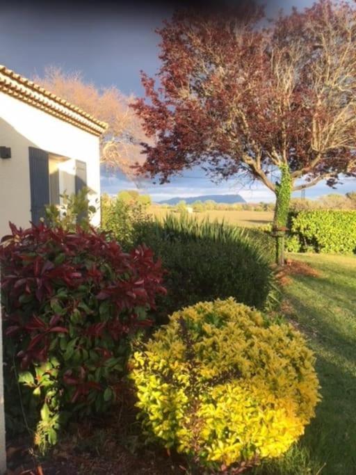 Sejour En Provence Maison Avec Vue Sur La Sainte Victoire Et Piscine Pres D'Aix En Provence Екс ан Прованс Екстериор снимка